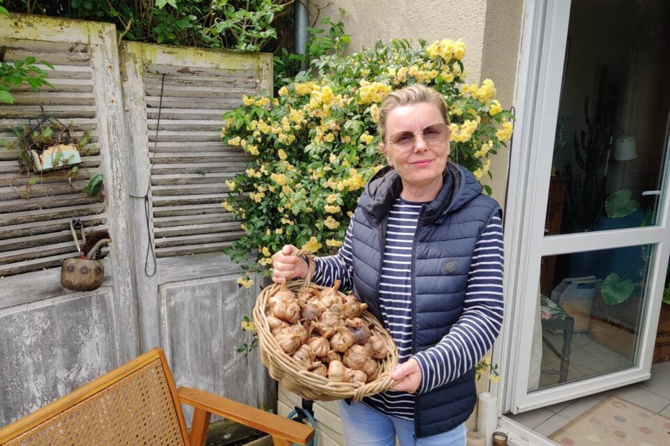 Catherine Lemarquand est productrice d’ail noir, qu’elle vend sous l’appellation « d’ail noir de la baie du Mont-Saint-Michel ». Elle est basée à Vains, dans la Manche.