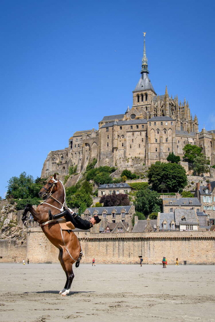 Les chevaux et écuyers du Cadre Noir vous feront découvrir l'équitation de tradition française.