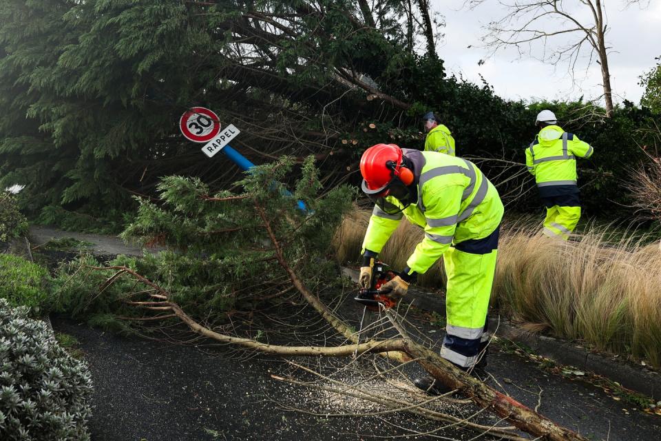 Sur l'île Tudy, dans le Finistère, des employés municipaux s'affairent à dégager de la route les arbres arrachés à cause de la tempête Ciaran. - Credit:FRED TANNEAU / AFP